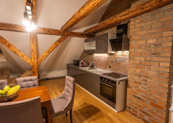 Apartman U Ljuby Jáchymov